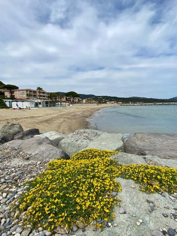Studio 150 M De Plage Golfe De Saint-Tropez Cavalaire-sur-Mer Exteriér fotografie